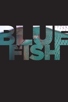Bluefish Trailer
