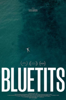 Bluetits Trailer
