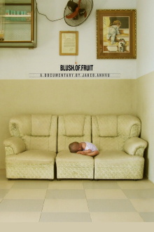 Blush of Fruit Trailer