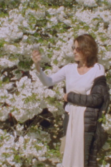 Blütenbaum Trailer