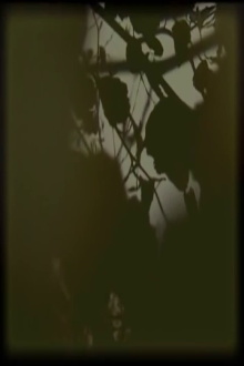 B#O 000001 Trailer