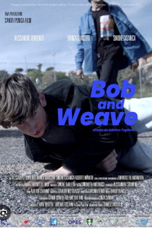 Bob and Weave Trailer