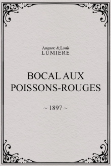 Bocal aux poissons rouges Trailer