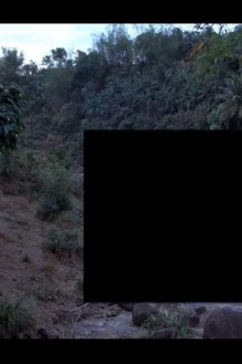 Body Double (Platoon) Trailer
