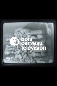 BOIS CERVEAU TV (1) Trailer