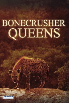 Bonecrusher Queens Trailer