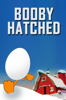 Booby Hatched Trailer