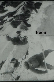 Boom Trailer
