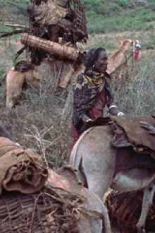 Boran Women Trailer