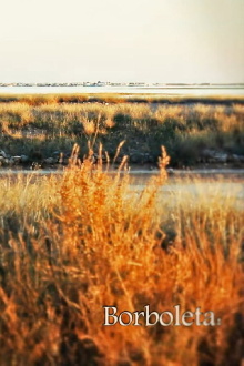 Borboleta Trailer