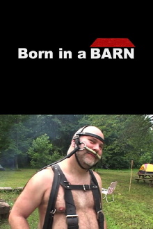 Born in a Barn Trailer