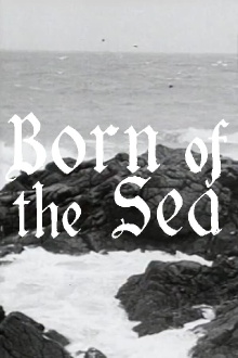 Born of the Sea Trailer