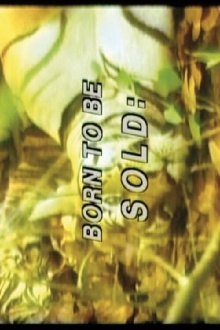 Born to Be Sold: Martha Rosler Reads the Strange Case of Baby S/M Trailer