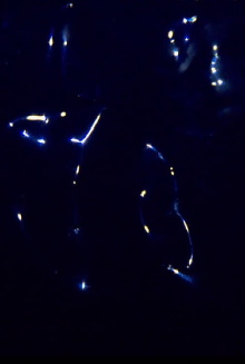 Born to be Yves Klein Blue Trailer