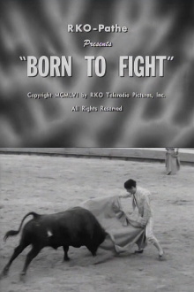 Born to Fight Trailer