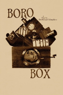 Boro in the Box Trailer