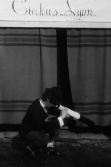 Boston and the Telescope Trailer