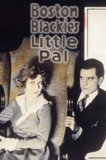 Boston Blackie's Little Pal Trailer