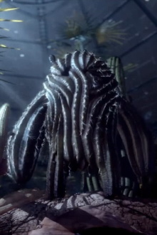 Botanica Liberta Trailer