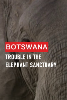 Botswana: Trouble in the Elephant Sanctuary Trailer