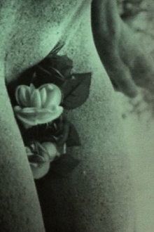 Bouche D'Oeil Trailer