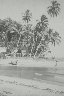 Bougainville Trailer