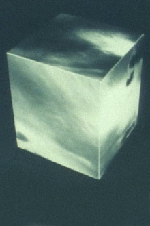 Box Trailer