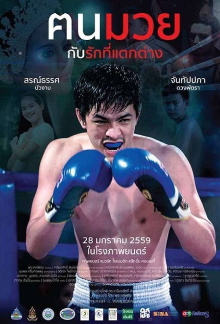 Boxing in Love Trailer