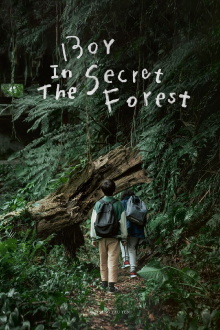 Boy in the Secret Forest Trailer