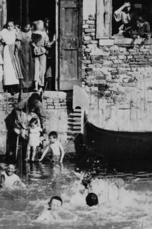 Boys Bathing: Venice Trailer