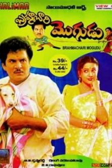 Brahmachari Mogudu Trailer