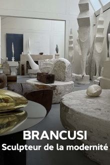 Brancusi : les métamorphoses de la sculpture Trailer