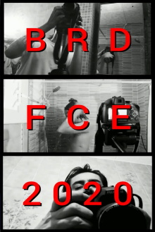BRDFCE2020 Trailer