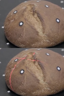 Bread. Gene Trailer