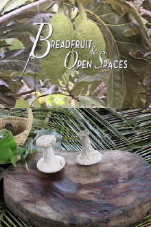 Breadfruit and Open Spaces Trailer
