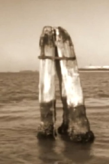 Bricola Trailer