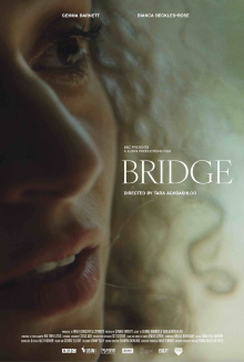 Bridge Trailer