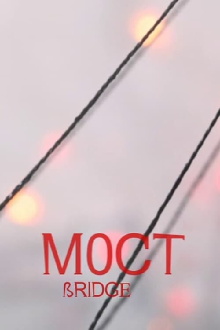 Bridge Trailer