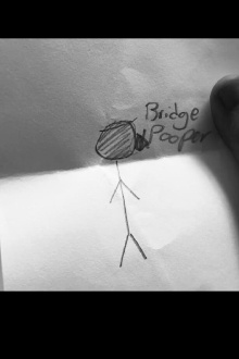 Bridge Pooper Trailer