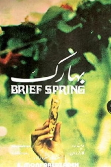 Brief Spring Trailer