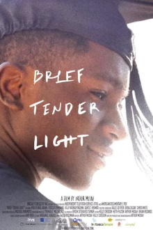 Brief Tender Light Trailer