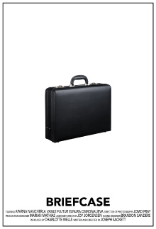 Briefcase Trailer