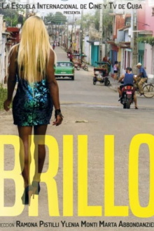 Brillo Trailer