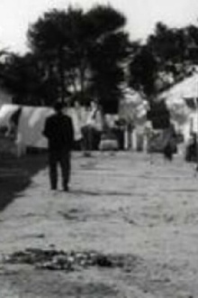 Brindisi '65 Trailer
