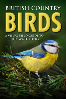 British Country Birds: A Visual Field Guide to Bird Watching Trailer