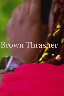 Brown Thrasher Trailer