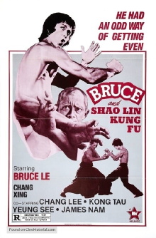 Bruce and Shaolin Kung Fu Trailer