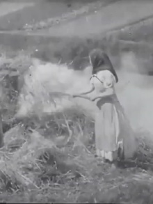 Brûleuses d'herbes Trailer