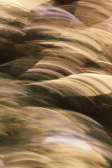 brushstrokes Trailer