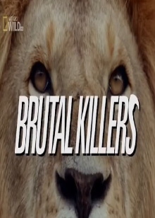 Brutal Killers Trailer